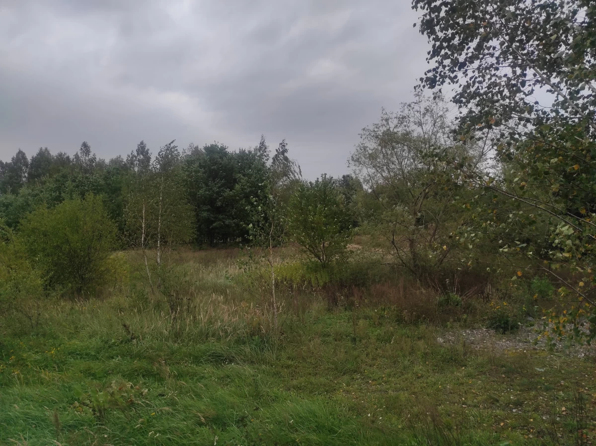 Sprzedam Działka pod Radomiem Wielogóra