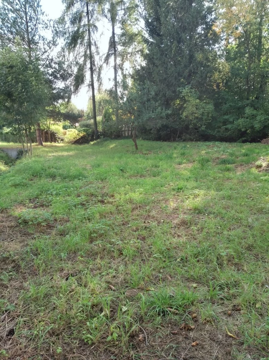 Dom do remontu z Działką 1300m² Bardo Kotlina Kłodzka Piękna Okolica!