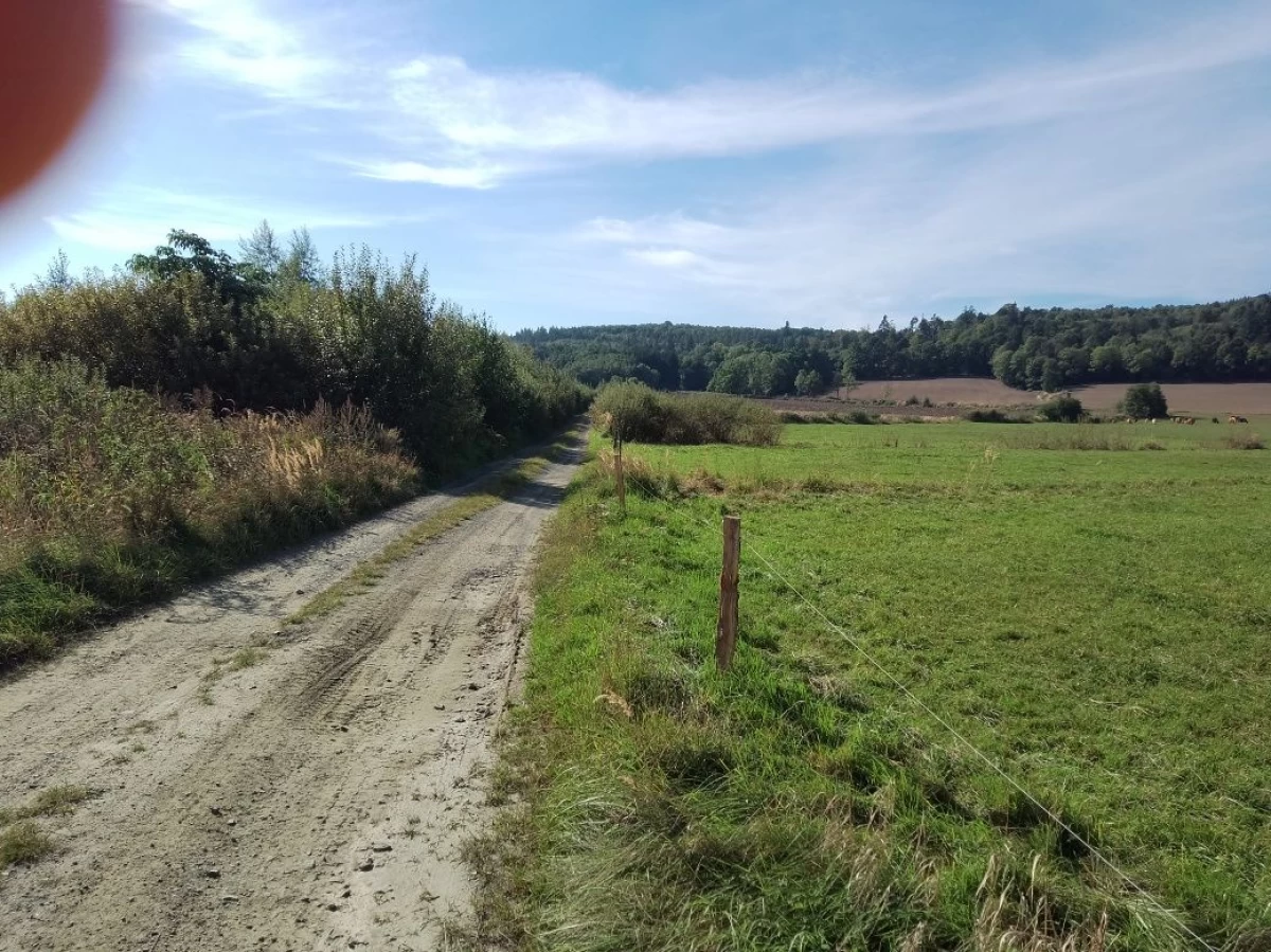 Dom do remontu z Działką 1300m² Bardo Kotlina Kłodzka Piękna Okolica!