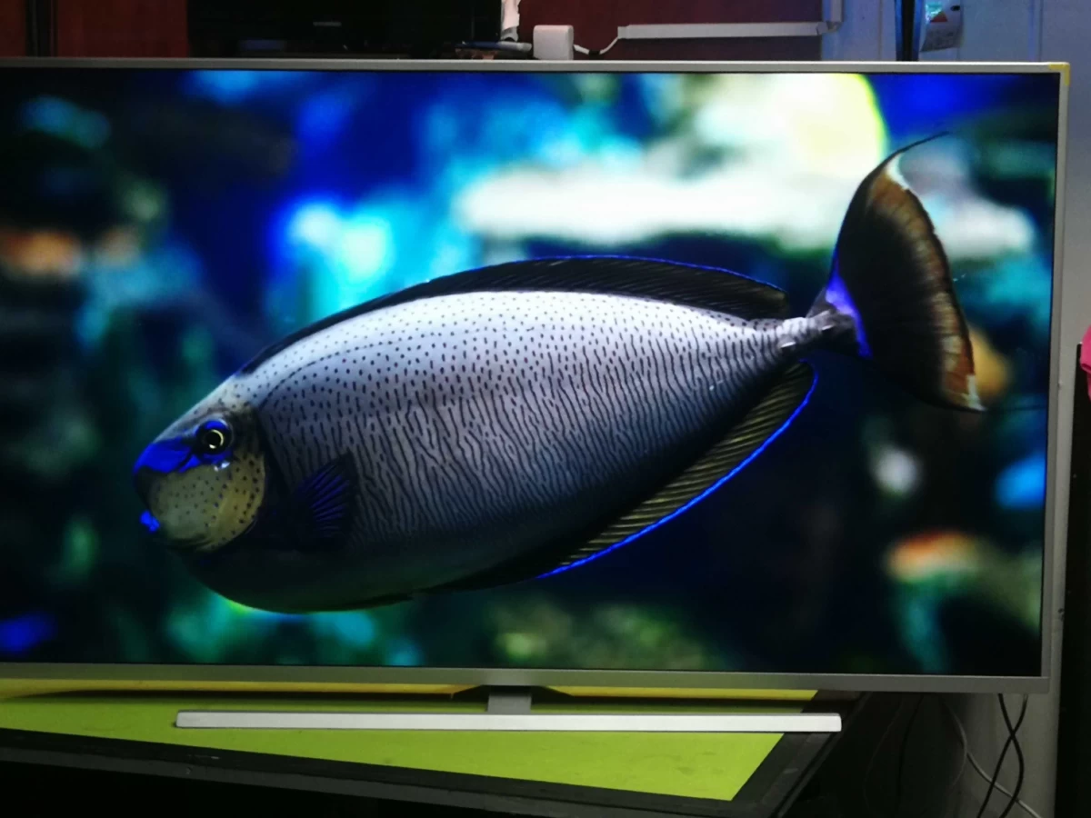 Telewizor Philips 55 cali 4K UHD, Android,Ambiliht3 Super Stan