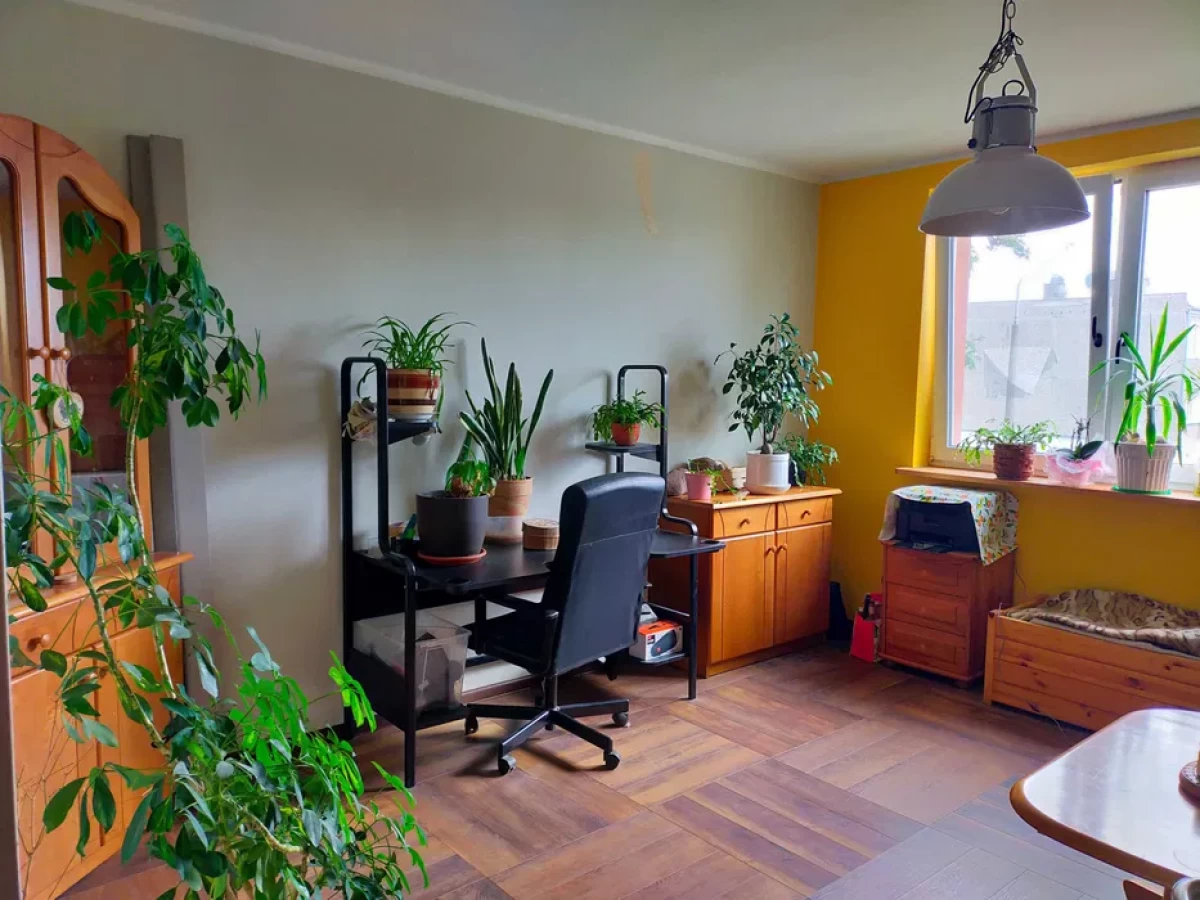 Mieszkanie po remoncie 55 m2, budynek, piwnica, parking, ogródek