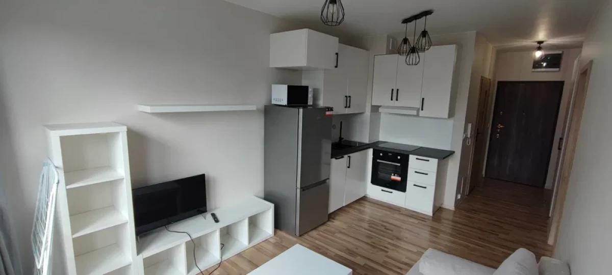 wynajmę nowoczesne mieszkanie, łódz Centrum przy ul. Kopernika