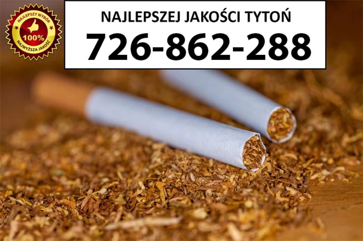 Super Jakości TYTOŃ 75PLN/1KG