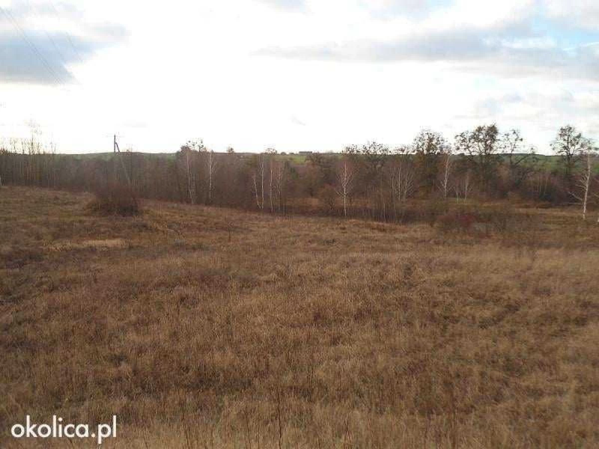 Sprzedam atrakcyjną działkę Dzierzgoń Morany 5391m2