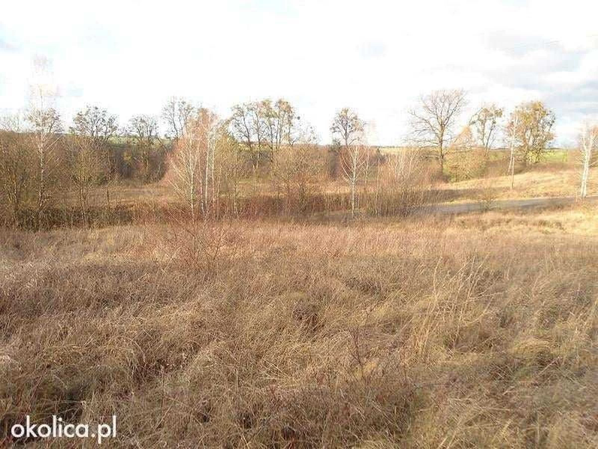 Sprzedam atrakcyjną działkę Dzierzgoń Morany 5391m2