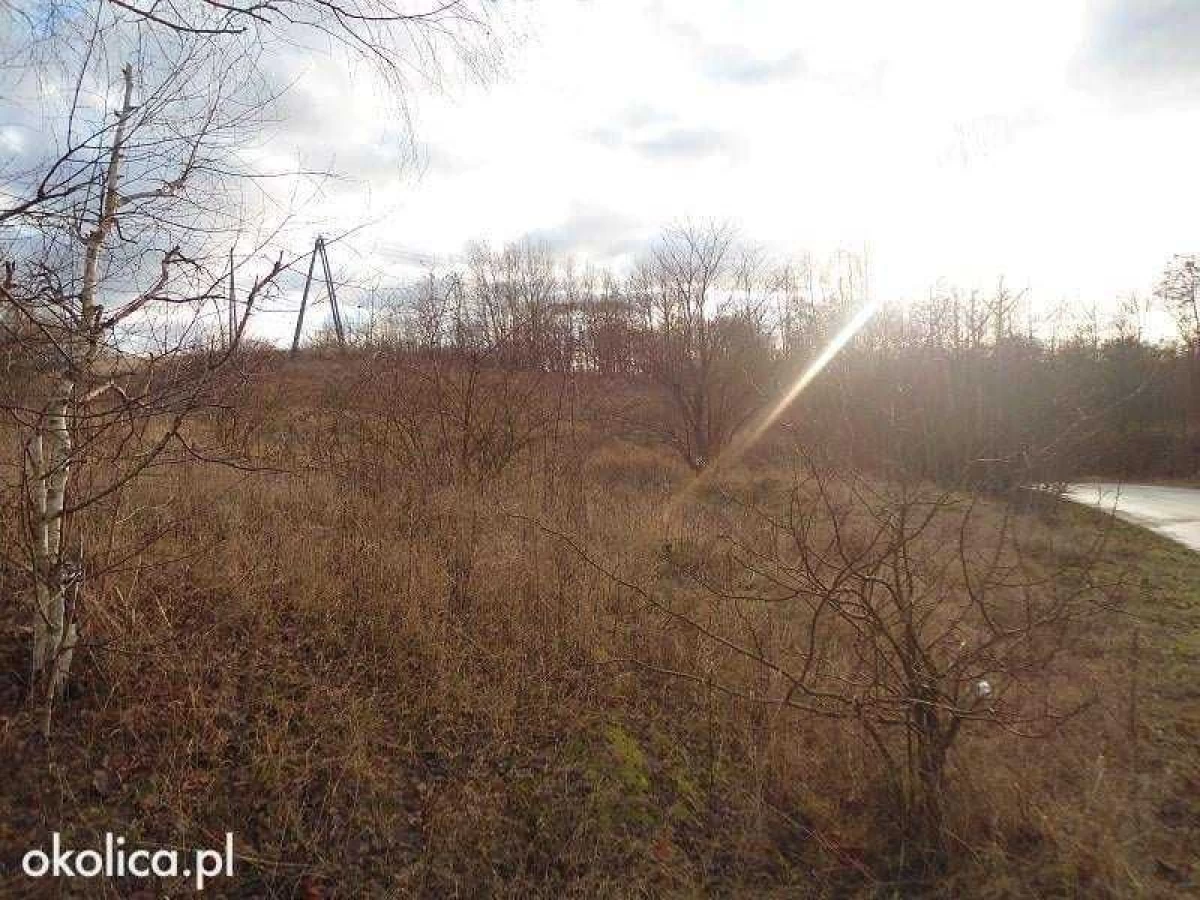 Sprzedam atrakcyjną działkę Dzierzgoń Morany 5391m2