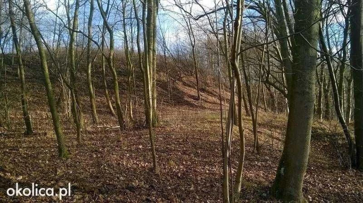 Sprzedam atrakcyjną działkę Dzierzgoń Morany 5391m2