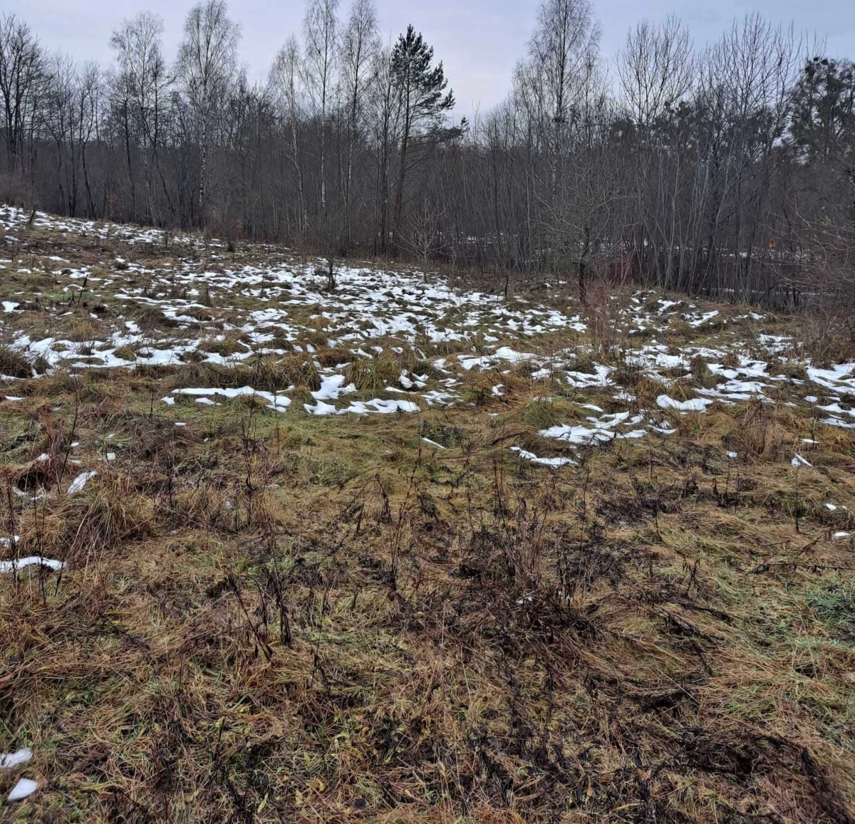 Sprzedam atrakcyjną działkę Dzierzgoń Morany 5391m2