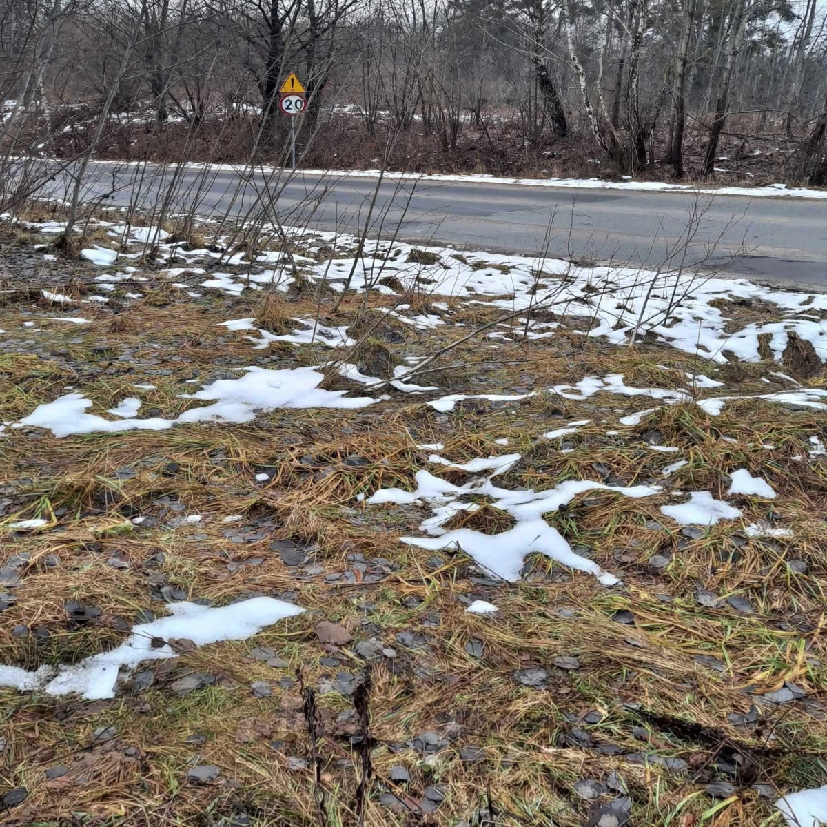 Sprzedam atrakcyjną działkę Dzierzgoń Morany 5391m2
