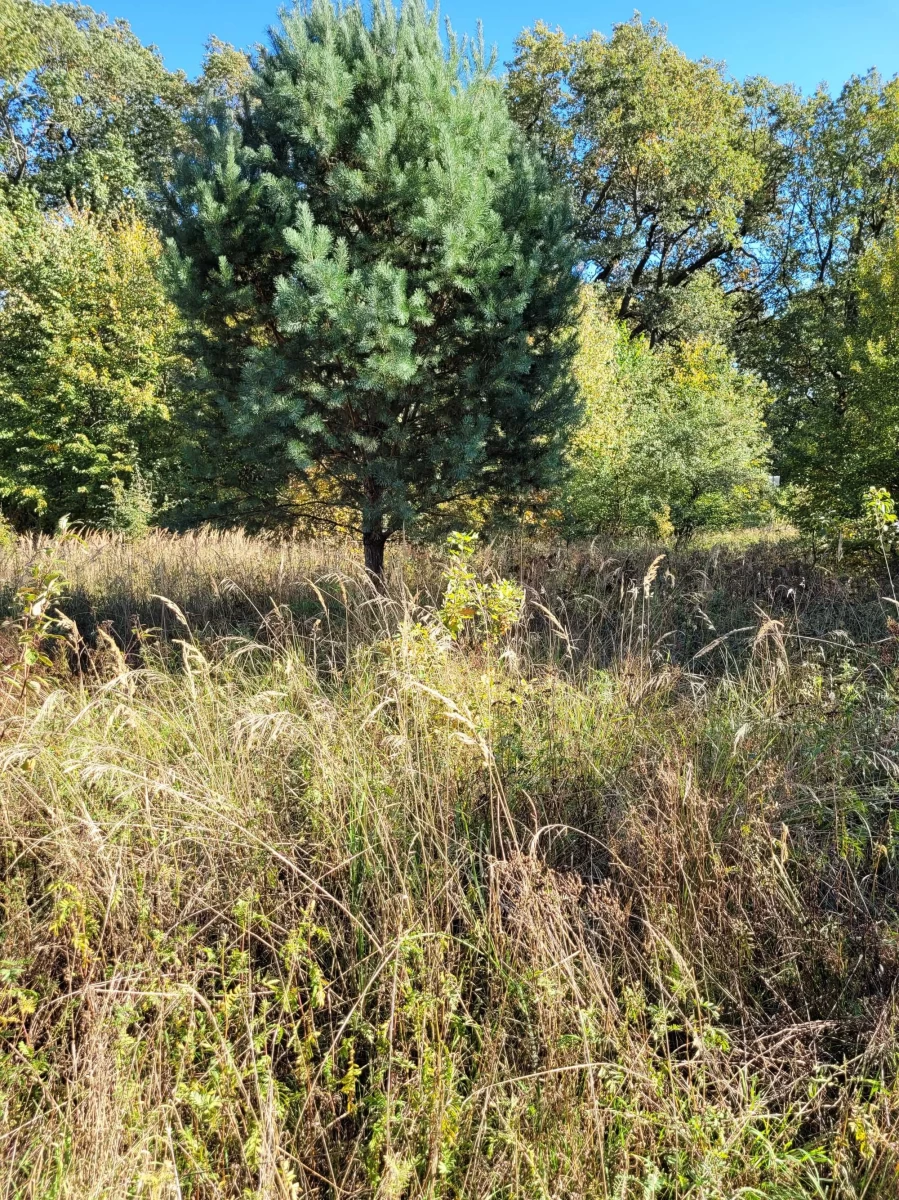 Atrakcyjna działka nad jeziorem Nowogród Bobrzański