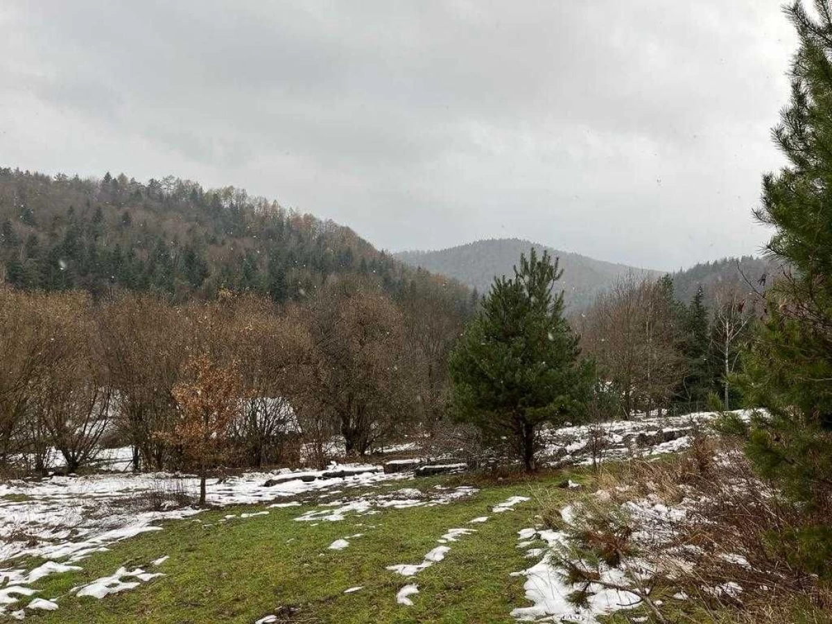 Sprzedam działke budowlaną z domem SŁONA gmina Zakliczyn 6,22 ha