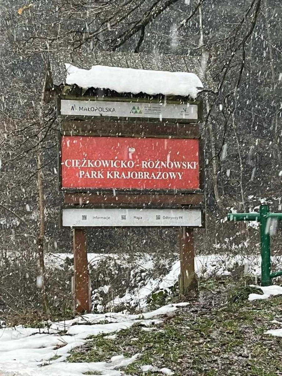 Sprzedam działke budowlaną z domem SŁONA gmina Zakliczyn 6,22 ha