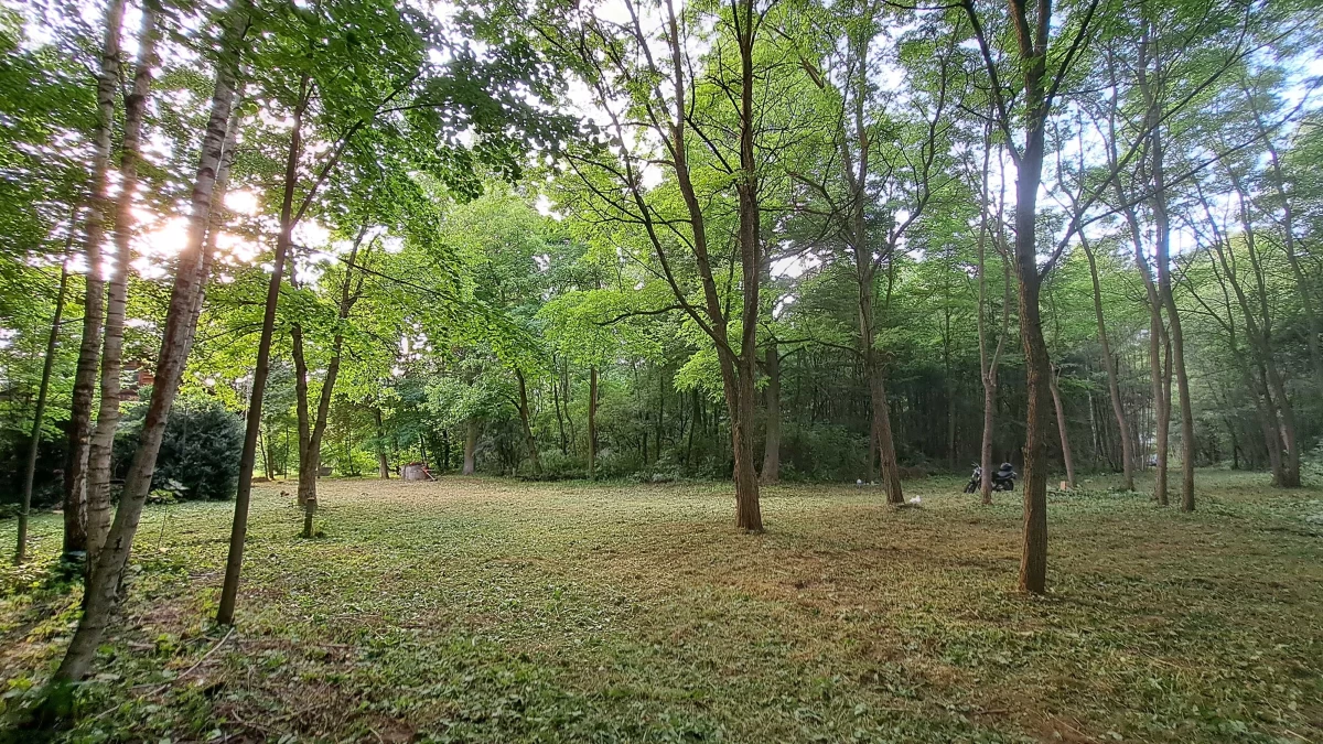 Sprzedam Siedlisko 1,6 ha z Dom z bala na sprzedaż Koszewo
