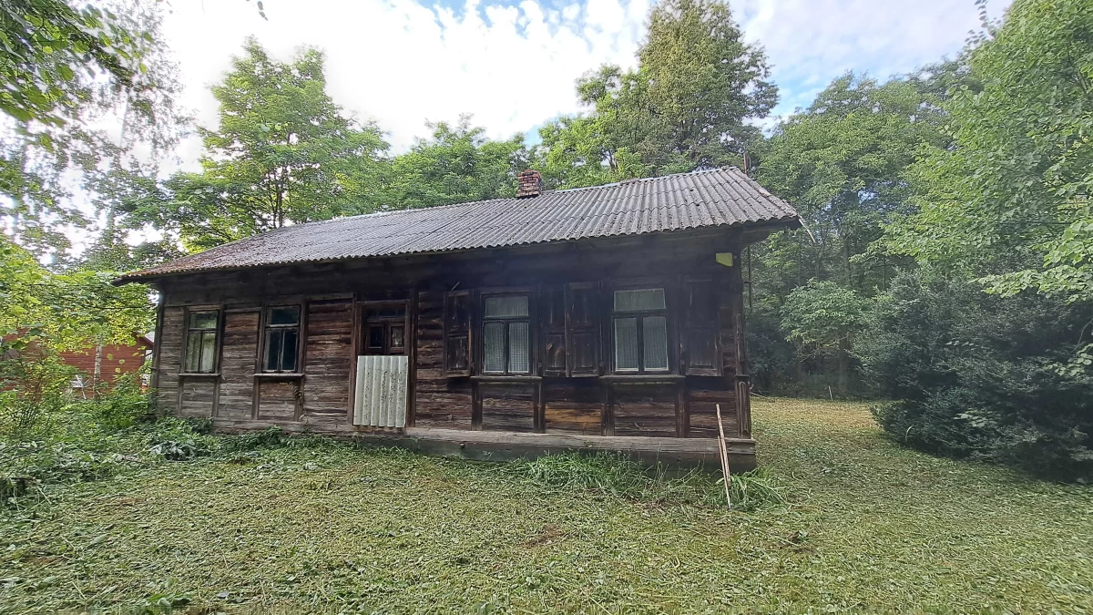 Sprzedam Siedlisko 1,6 ha z Dom z bala na sprzedaż Koszewo