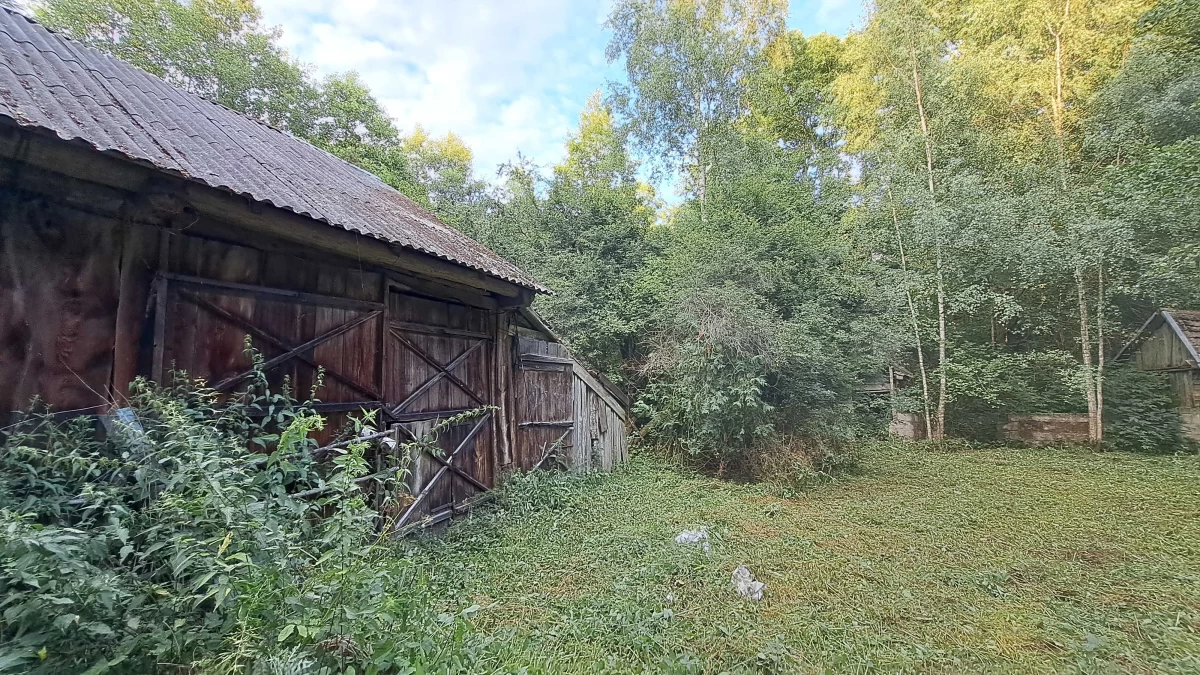 Sprzedam Siedlisko 1,6 ha z Dom z bala na sprzedaż Koszewo