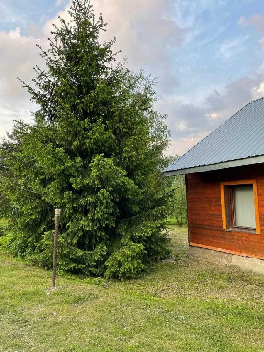 Sprzedam Dom w Bieszczadach wieś Krzemienna gm. Dydnia - góry, las, rzeka, staw