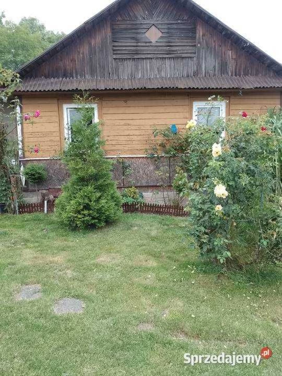 Sprzedam dom, siedlisko Kraśniczyn