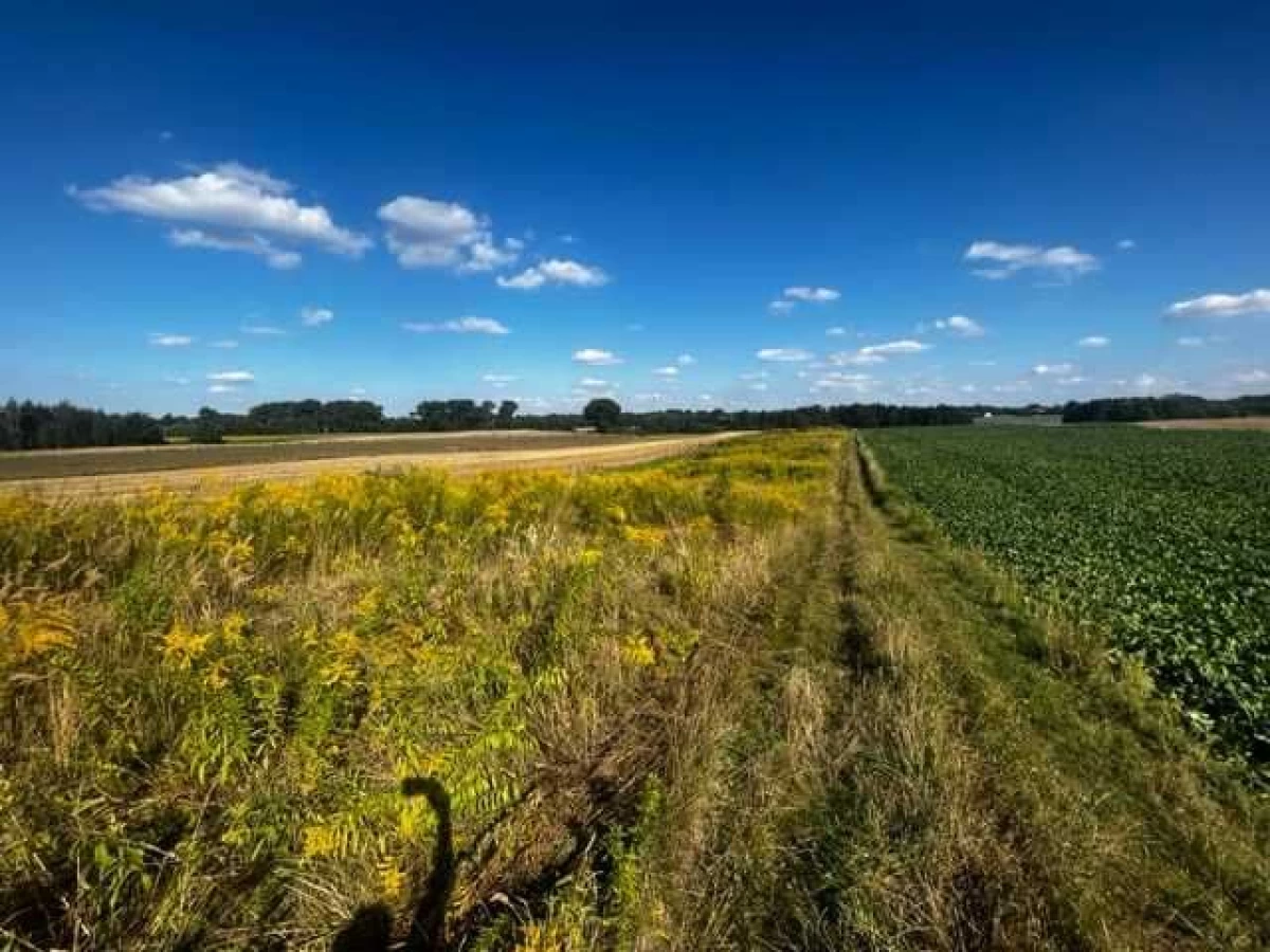 Działka budowlano - rolna Tomaszowice gm. Jastków, 2 km od Lublina