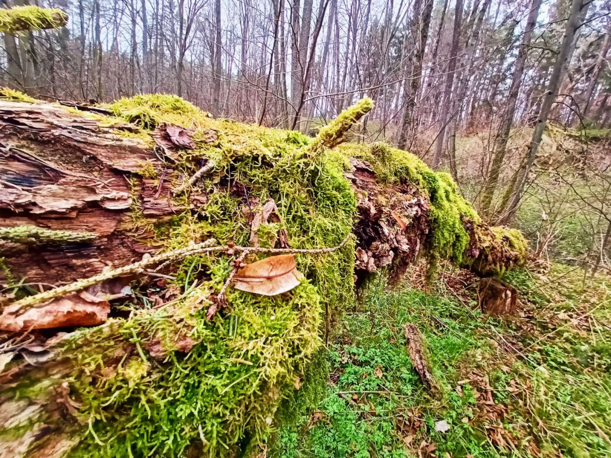 Sprzedam Działke nad Rzeką Jeziorem