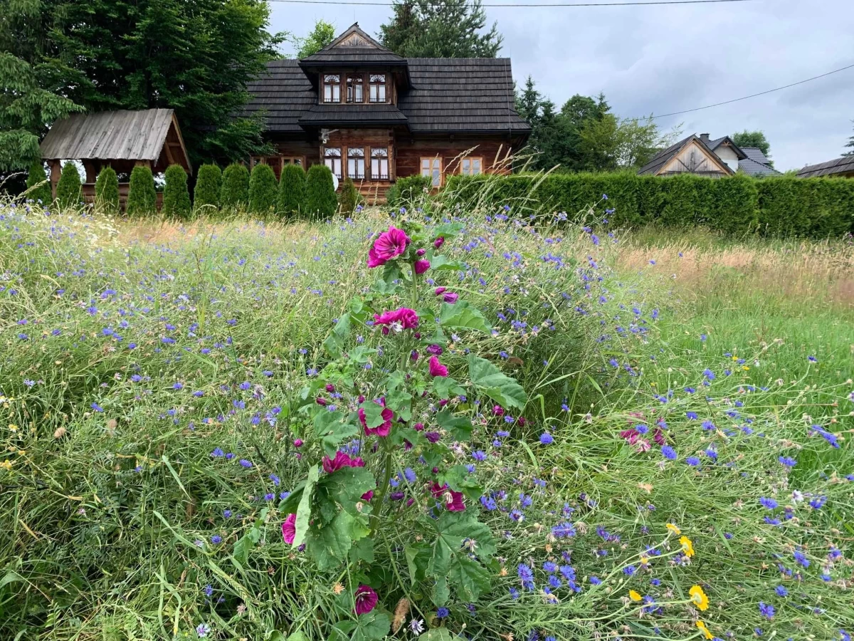 Sprzedam dom góralski w Naprawie z widokiem na Babią Górę i Tatry