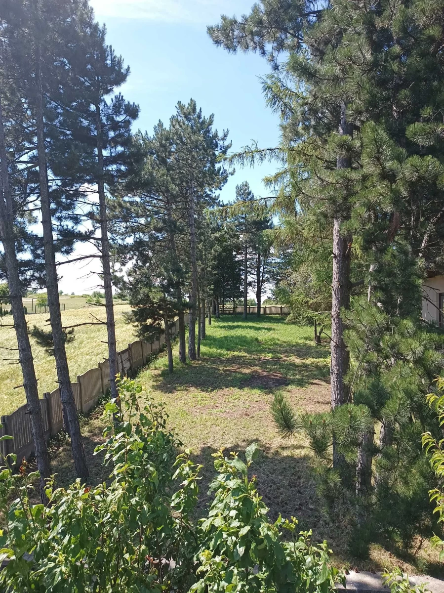 Wynajmę Dom na działce 1400 m.kw. do wynajęcia