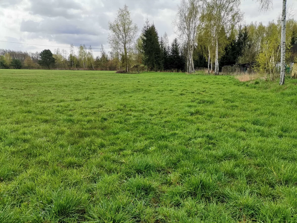 Sprzedam działkę budowlaną Gostynin