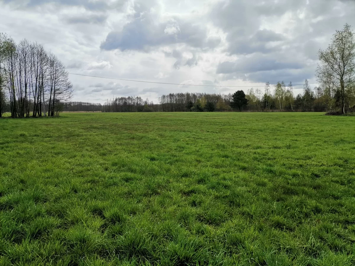 Sprzedam działkę budowlaną Gostynin