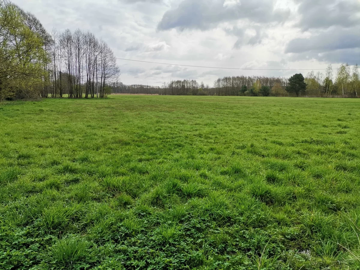 Sprzedam działkę budowlaną Gostynin