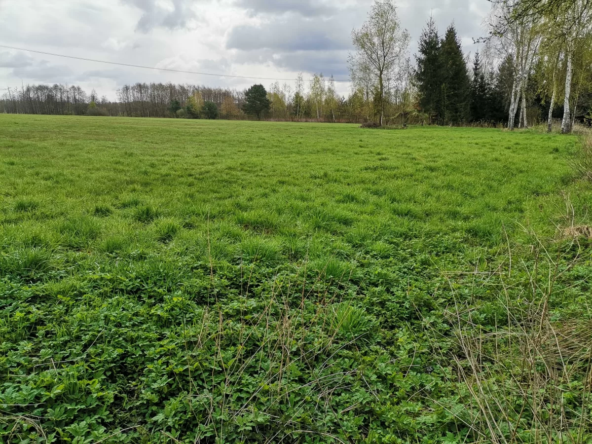 Sprzedam działkę budowlaną Gostynin