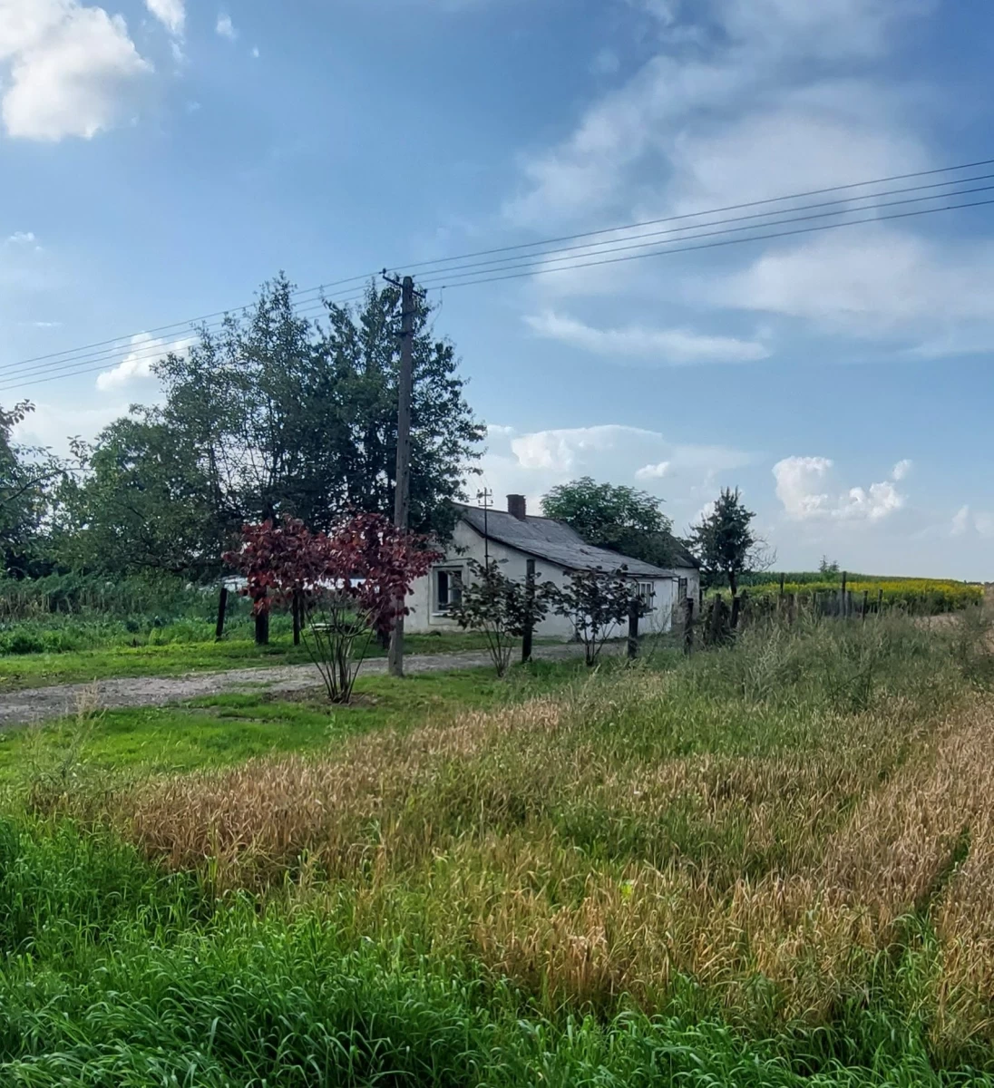 Sprzedam Dom przy lesie 48 m² / 10ar Dominów pow. świdnicki Gm. Mełgiew