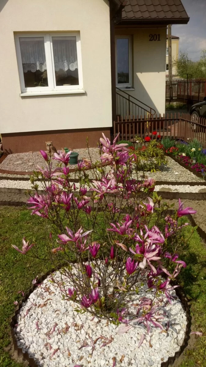 Sprzedam dom Ostrowiec Świętokrzyski
