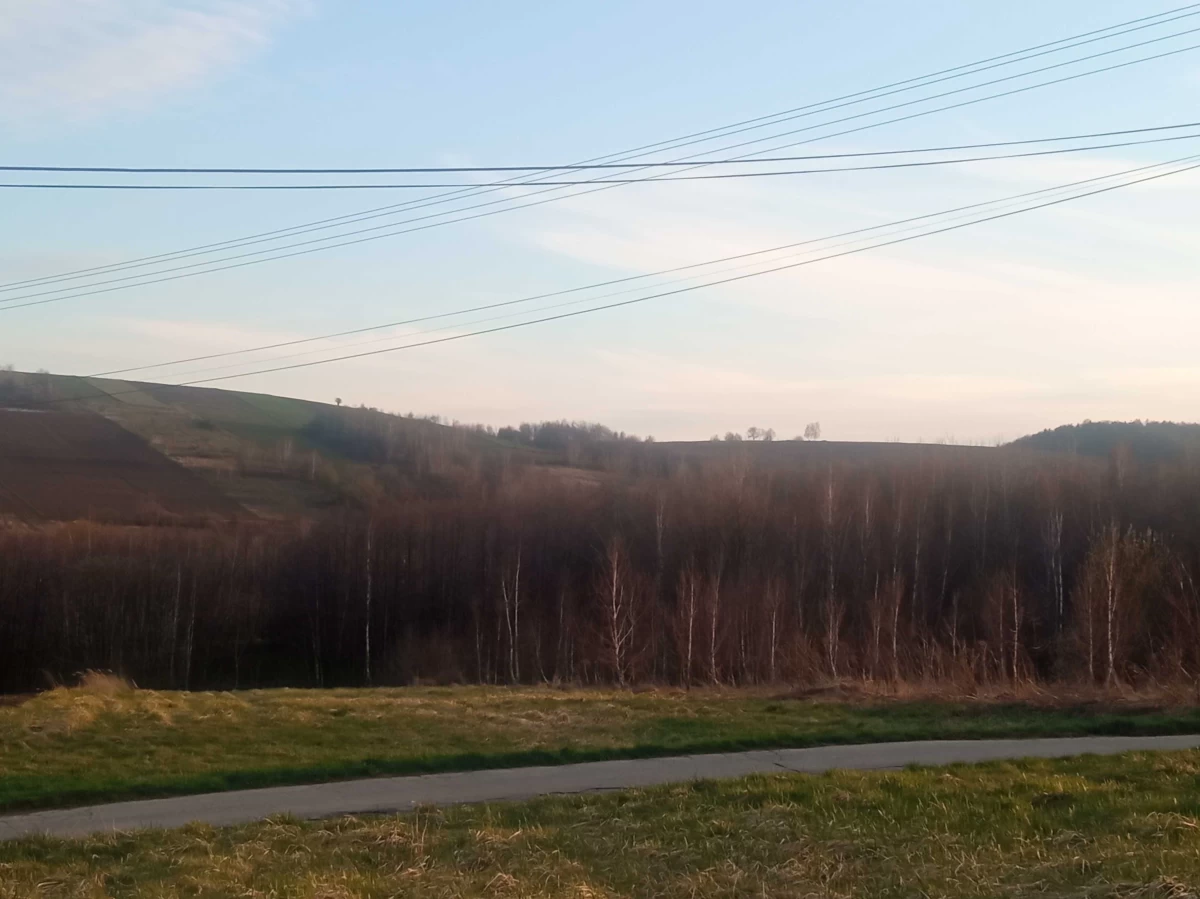Nowoczesny dom do sprzedania Polanka Hallera