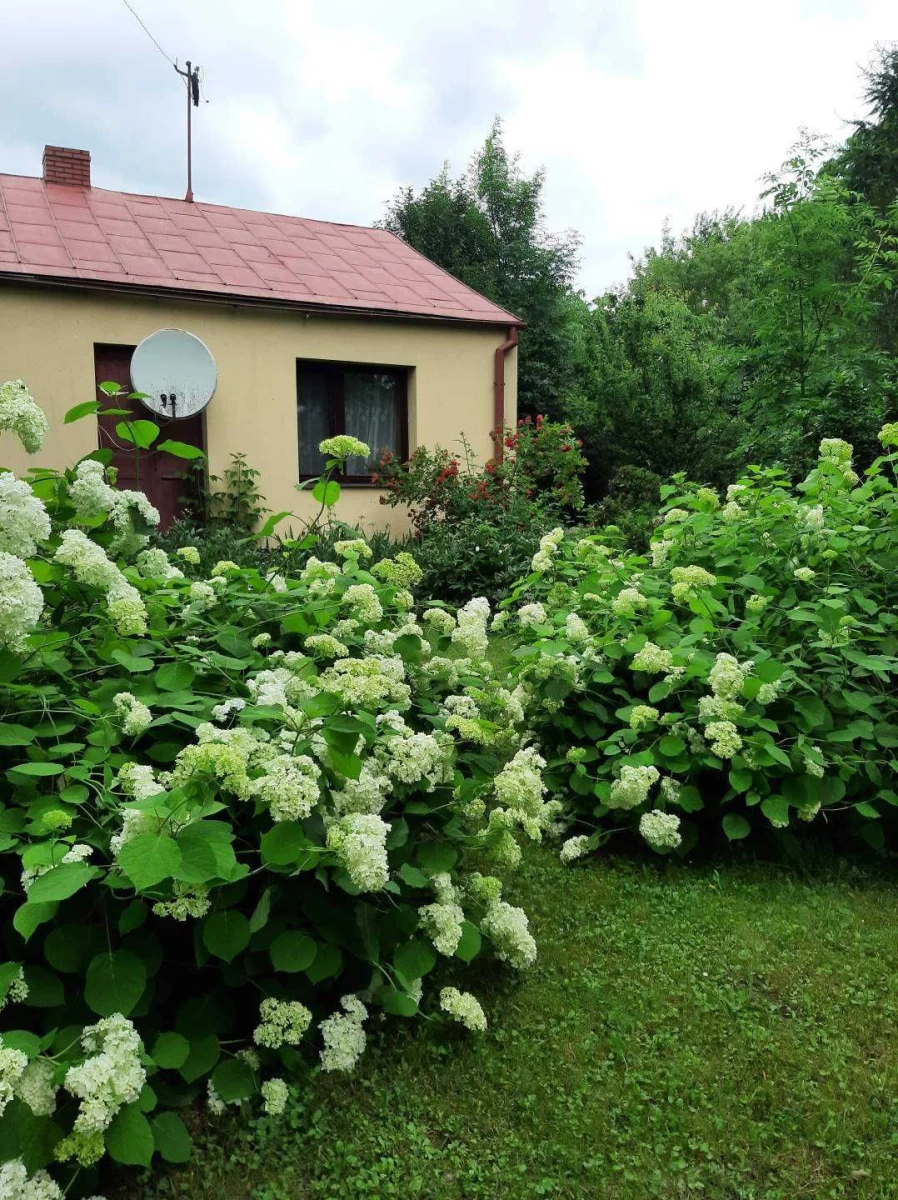 Siedlisko z domem i ogrodem [możliwość dokupienia 4,17 ha pola