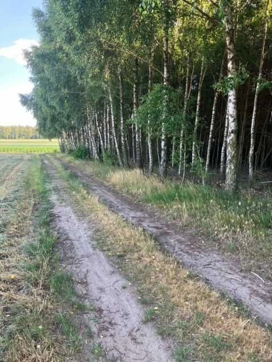 Działka rolno - budowlana z mediami pod Sierpcem