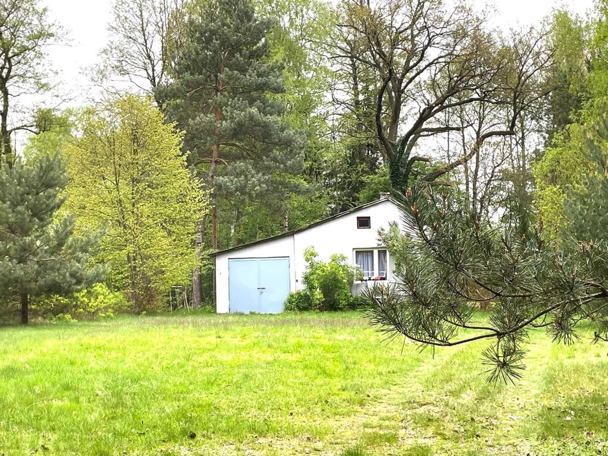 Uroczy domek w lesie nad strumykiem 30 min od Warszawy działka 2600mkw