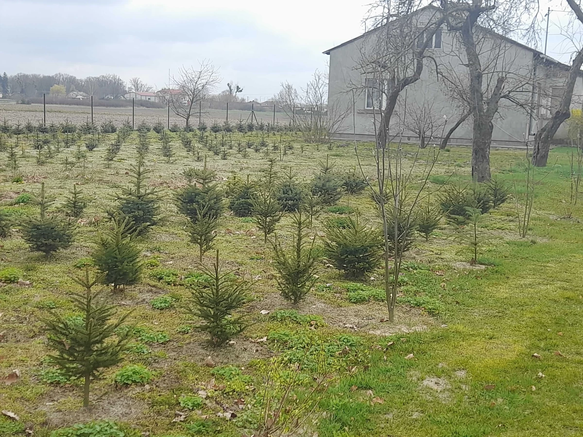 Sprzedam dom z ziemią Sochaczew