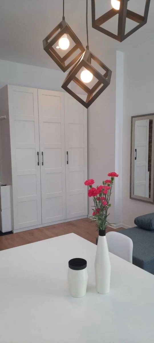 Wynajmę mieszkanie Łódź 27m2 świeżo po remoncie