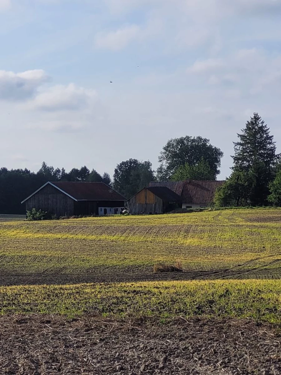 Sprzedam dom na Warmii Różaniec Pieniężno kolonia