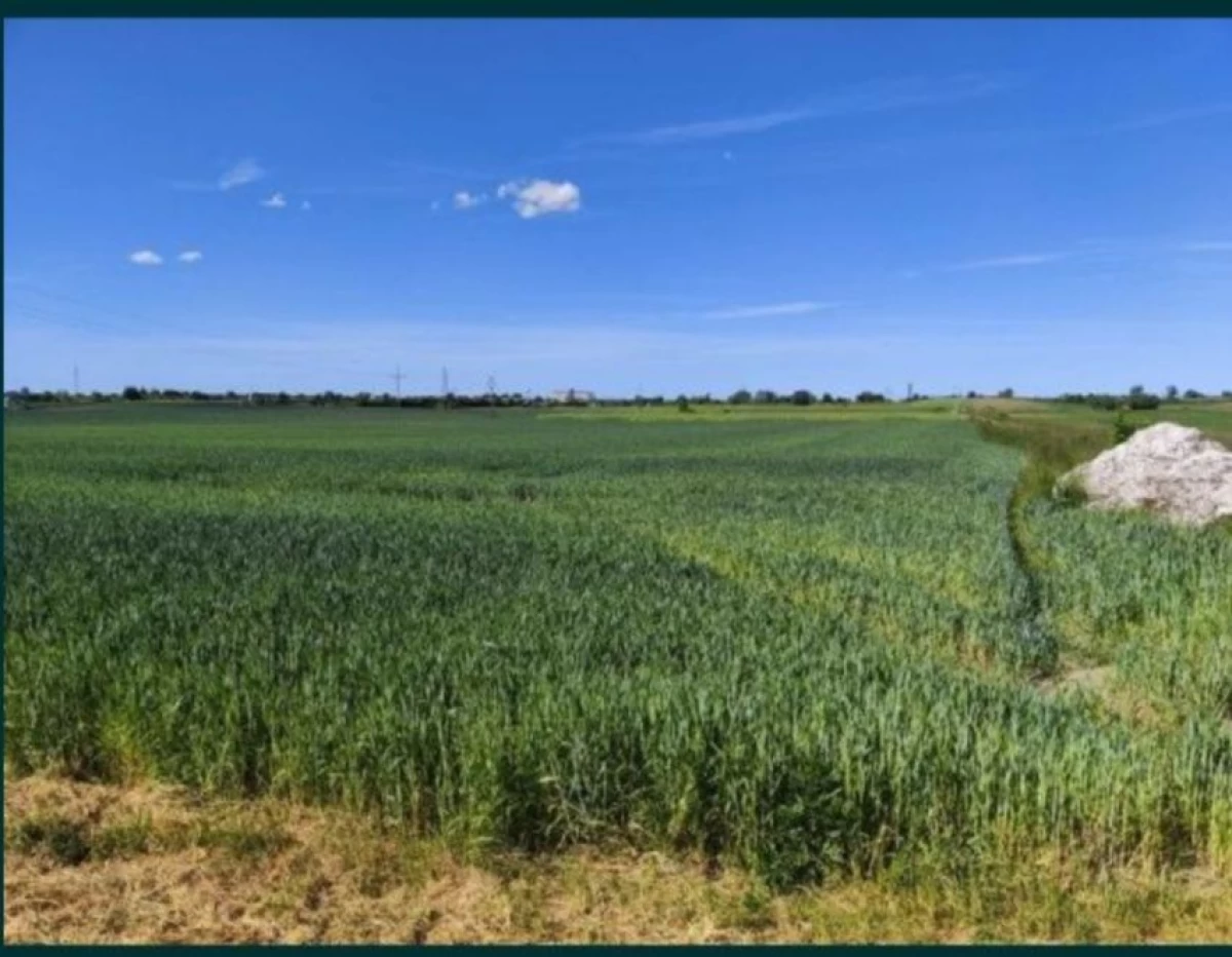 Sprzedam dwie działki budowlane w Nowej Wsi Malborskiej