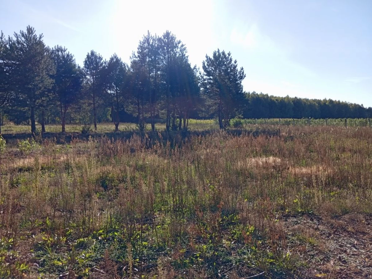 Działka budowlana/ Wypychów -Podlesie