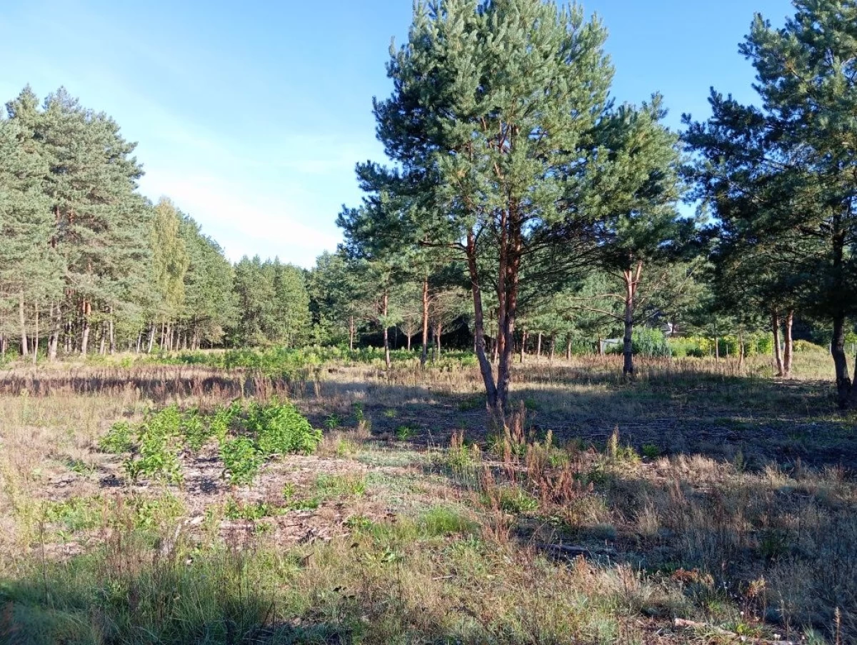 Działka budowlana/ Wypychów -Podlesie