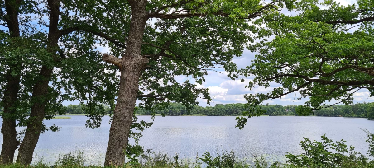 Sprzedam atrakcyjna działka budowlana nad jeziorem 20 km od morza Salino