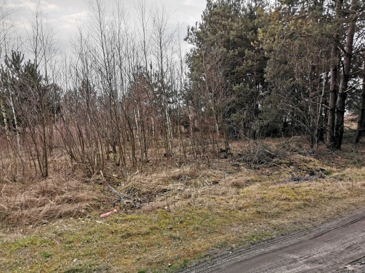 Działka z WZ i domem typu stodoła Sobienie Biskupie, Otwock, Karczew