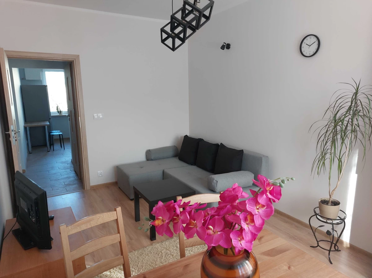 Do wynajęcia przytulne 2-pokojowe mieszkanie o powierzchni 44m²