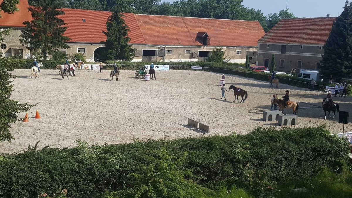 Stadnina Koni wraz z ziemią 105,6 ha - 100 % udziałów w spółce rolnej