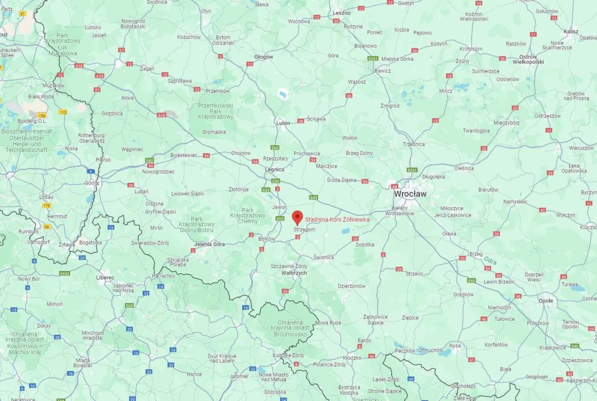 Stadnina Koni wraz z ziemią 105,6 ha - 100 % udziałów w spółce rolnej