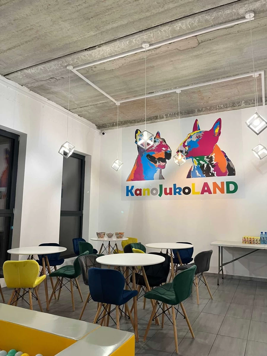 Sprzedam gotowy biznes Sala Zabaw dla Dzieci