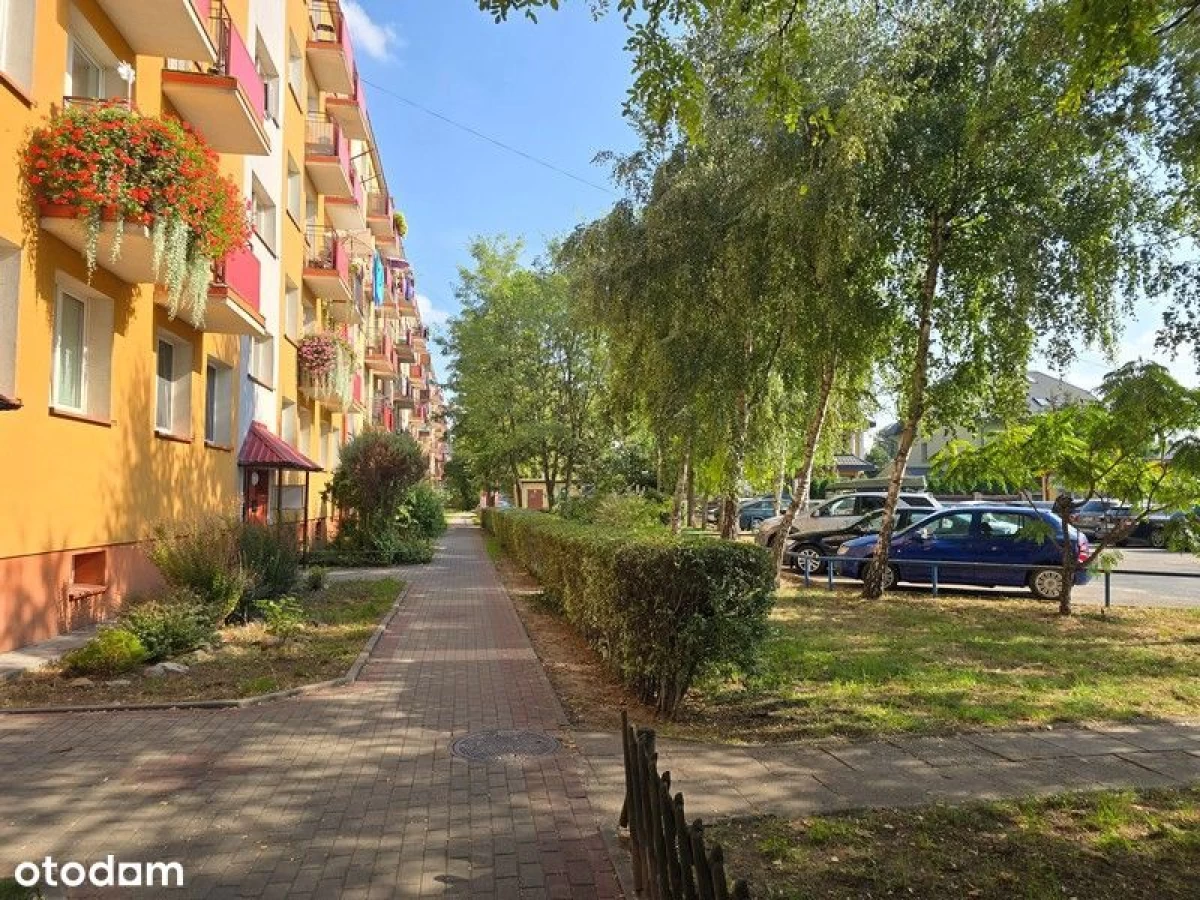 Sprzedam mieszkanie 3-pok. 48m² Płock, Jachowicza.