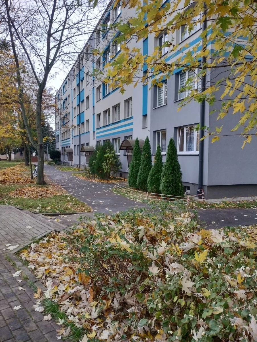 Sprzedam mieszkanie własnościowe w Golubiu-Dobrzyniu