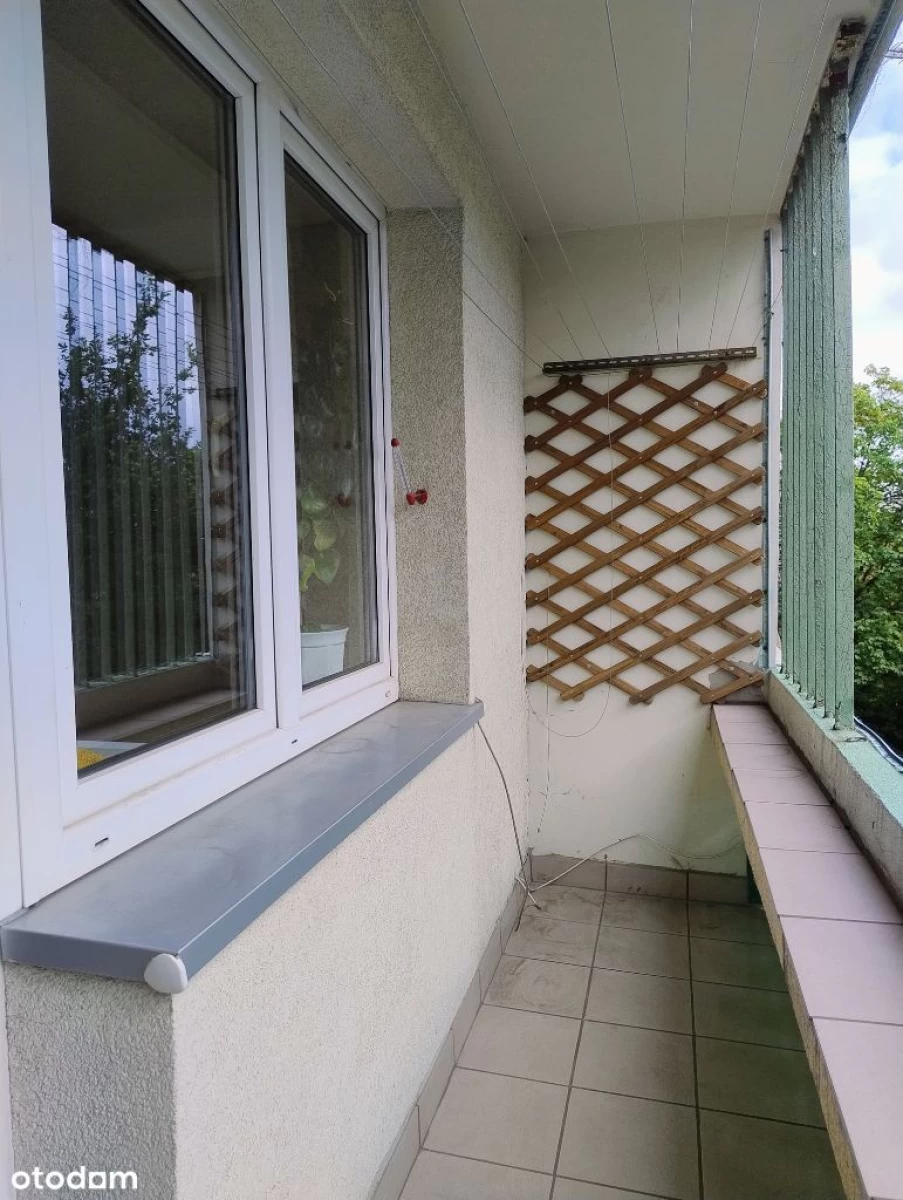 Sprzedam 3 pokojowe mieszkanie 48m2 Sosnowiec